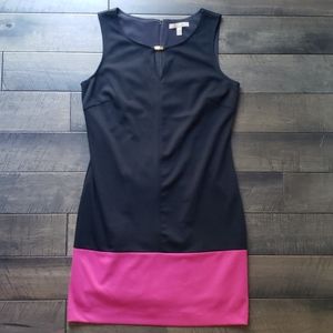 Banana Republic Form Fitting Dress Size 10P